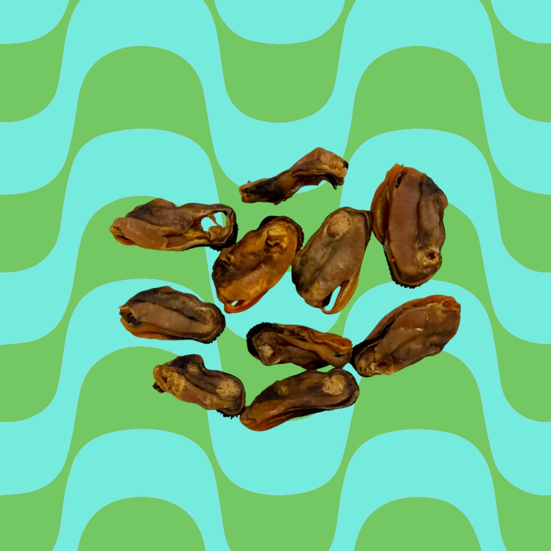 Green Lipped Mussels