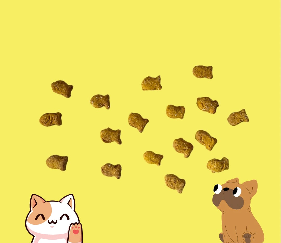 Fishies π