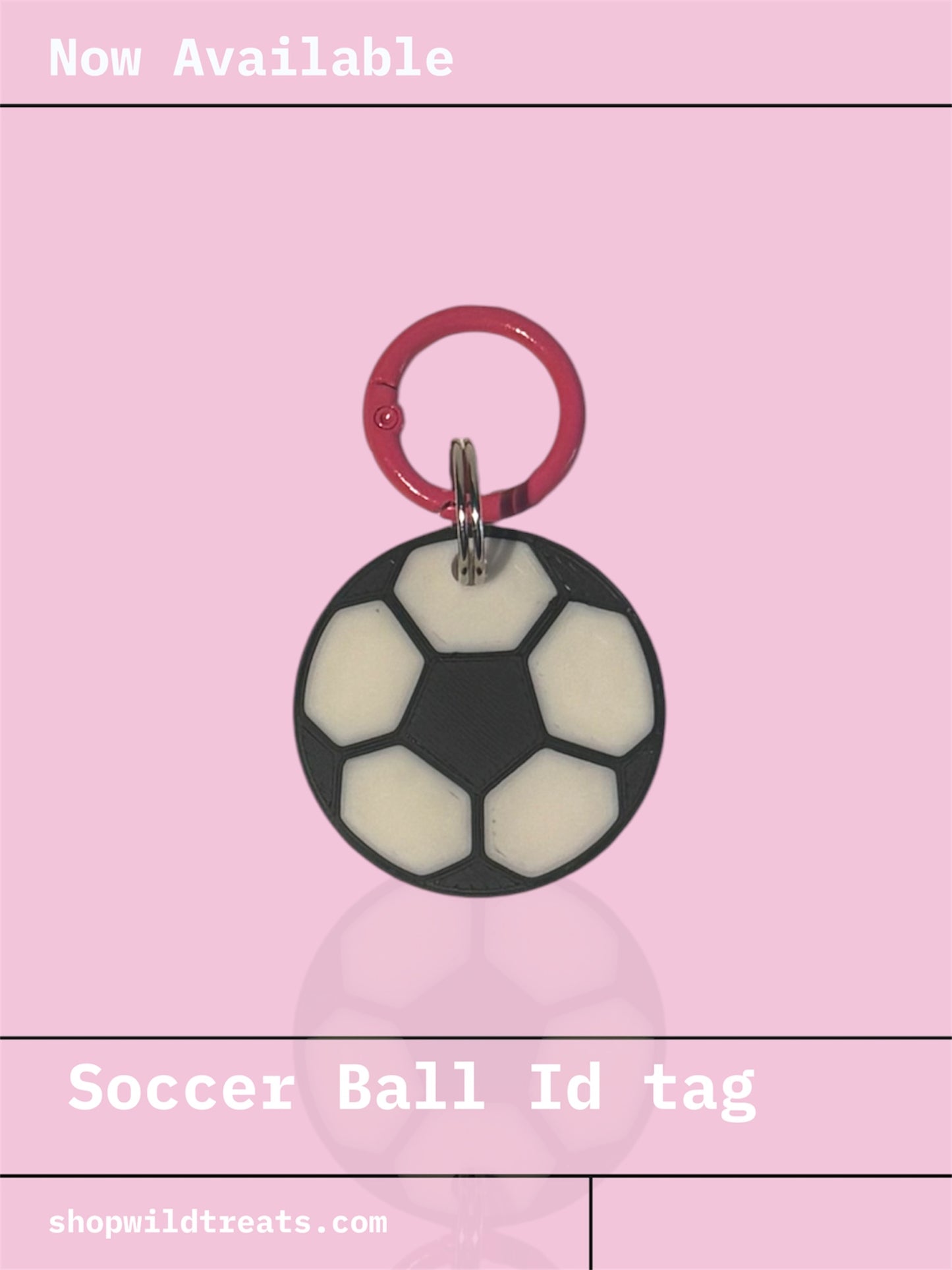 Soccer Ball Id Tag
