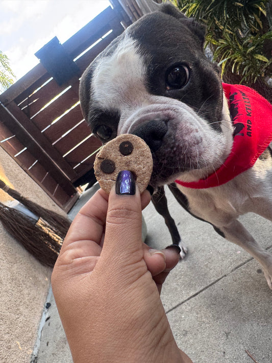 Carob Chip cookies