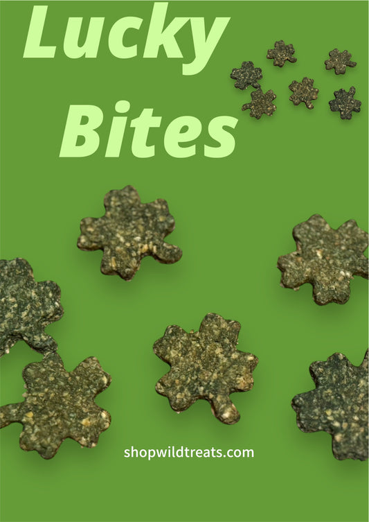 Lucky Bites 🍀