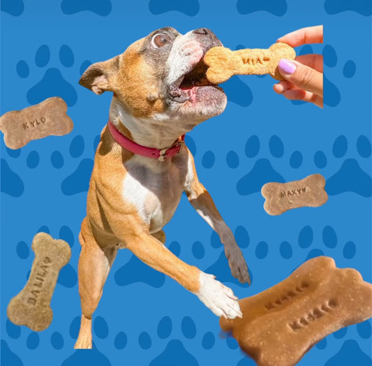 Dog Bone Cookies